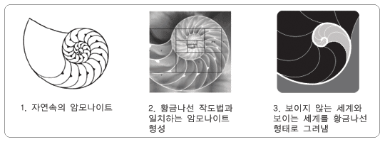 황금나선 — 그림1 암모나이트, 그림2 황금나선 작도, 그림3 여러 차원의 흰 나선